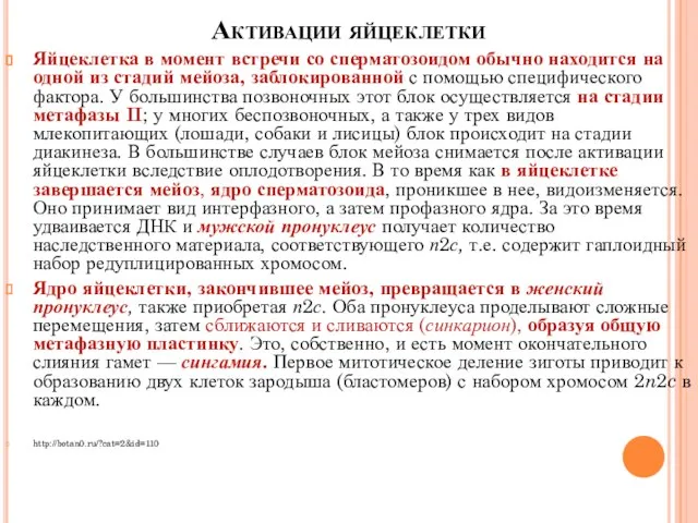 Активации яйцеклетки Яйцеклетка в момент встречи со сперматозоидом обычно находится на одной