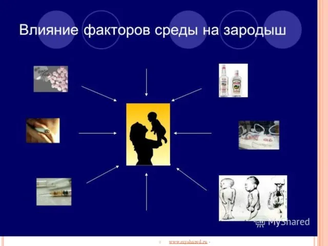 www.myshared.ru -