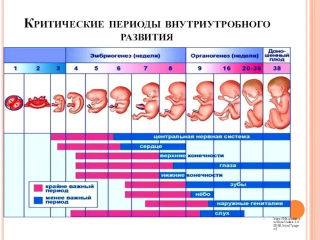 Критические периоды внутриутробного развития http://lib.znate.ru/docs/index-132093.html?page=7