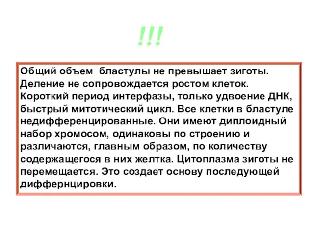 Общий объем бластулы не превышает зиготы. Деление не сопровождается ростом клеток. Короткий