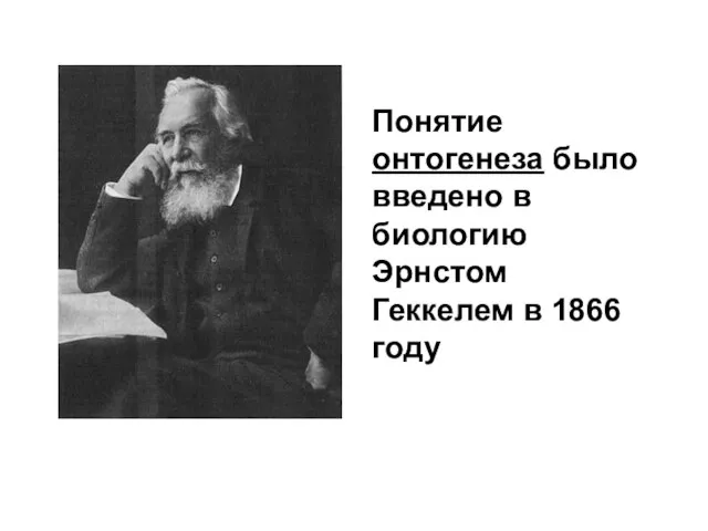 Понятие онтогенеза было введено в биологию Эрнстом Геккелем в 1866 году