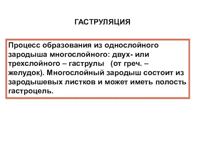 Процесс образования из однослойного зародыша многослойного: двух- или трехслойного – гаструлы (от