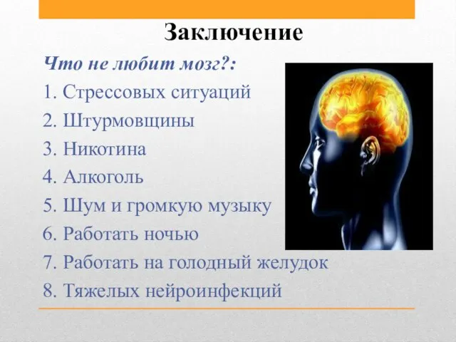 Заключение Что не любит мозг?: 1. Стрессовых ситуаций 2. Штурмовщины 3. Никотина