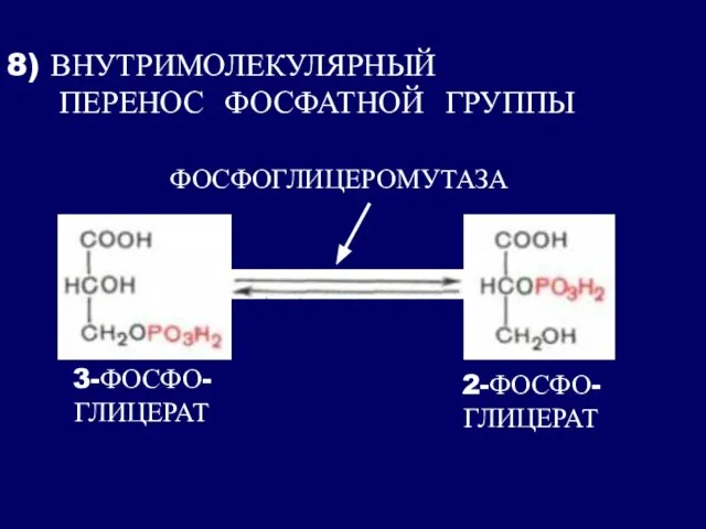 8) ВНУТРИМОЛЕКУЛЯРНЫЙ ПЕРЕНОС ФОСФАТНОЙ ГРУППЫ