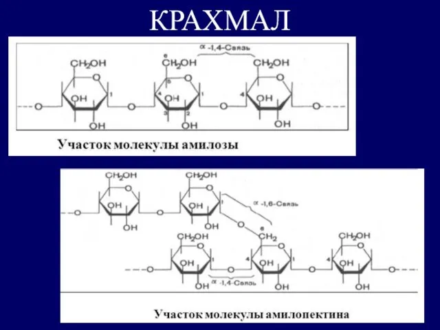 КРАХМАЛ