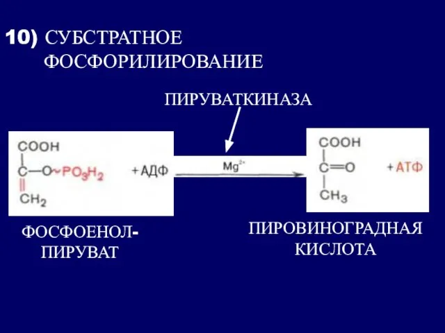 ФОСФОЕНОЛ- ПИРУВАТ 10) СУБСТРАТНОЕ ФОСФОРИЛИРОВАНИЕ