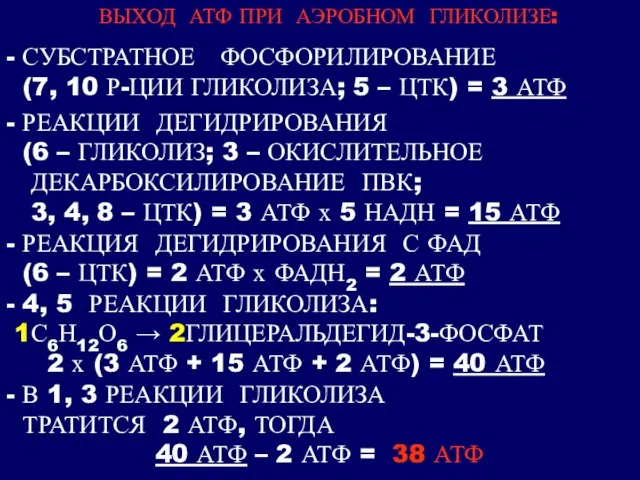 ВЫХОД АТФ ПРИ АЭРОБНОМ ГЛИКОЛИЗЕ: - СУБСТРАТНОЕ ФОСФОРИЛИРОВАНИЕ (7, 10 Р-ЦИИ ГЛИКОЛИЗА;