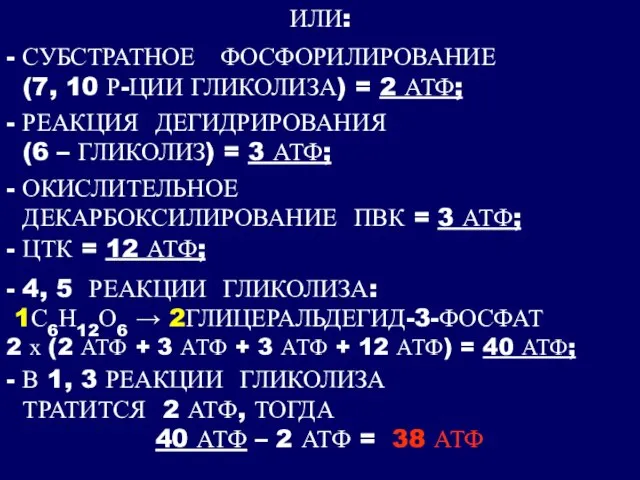 ИЛИ: - СУБСТРАТНОЕ ФОСФОРИЛИРОВАНИЕ (7, 10 Р-ЦИИ ГЛИКОЛИЗА) = 2 АТФ; -