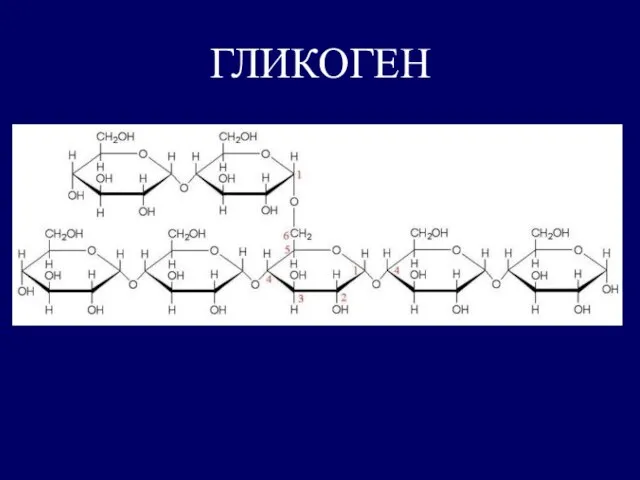 ГЛИКОГЕН