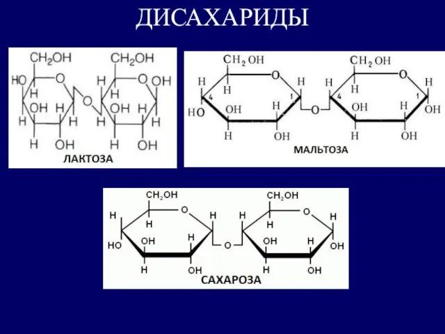 ДИСАХАРИДЫ