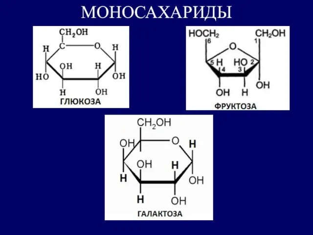 МОНОСАХАРИДЫ