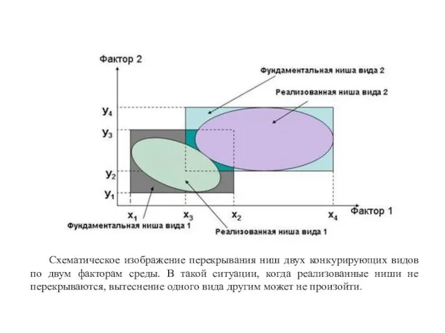 Схематическое изображение перекрывания ниш двух конкурирующих видов по двум факторам среды. В