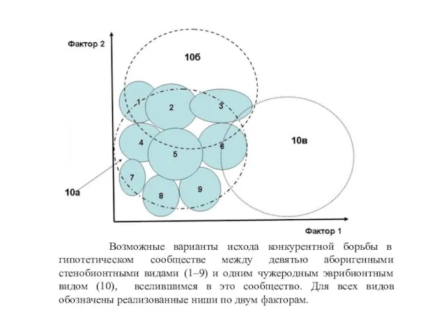 Возможные варианты исхода конкурентной борьбы в гипотетическом сообществе между девятью аборигенными стенобионтными