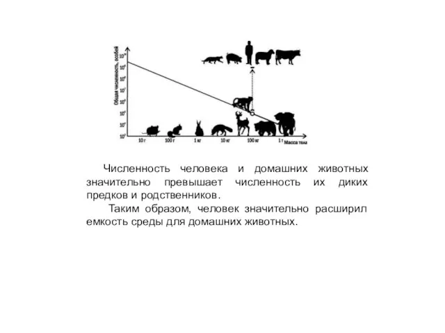 Численность человека и домашних животных значительно превышает численность их диких предков и