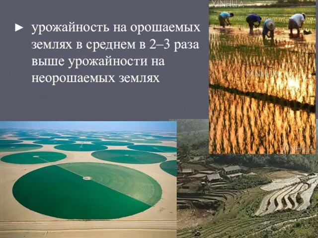 урожайность на орошаемых землях в среднем в 2–3 раза выше урожайности на неорошаемых землях