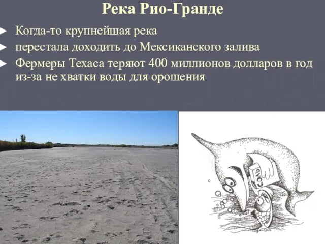 Река Рио-Гранде Когда-то крупнейшая река перестала доходить до Мексиканского залива Фермеры Техаса