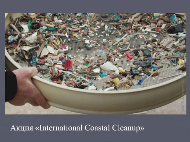 Акция «International Coastal Cleanup»