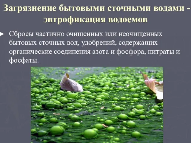 Загрязнение бытовыми сточными водами - эвтрофикация водоемов Сбросы частично очищенных или неочищенных