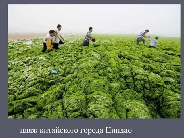 пляж китайского города Циндао