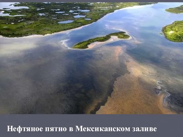 Нефтяное пятно в Мексиканском заливе