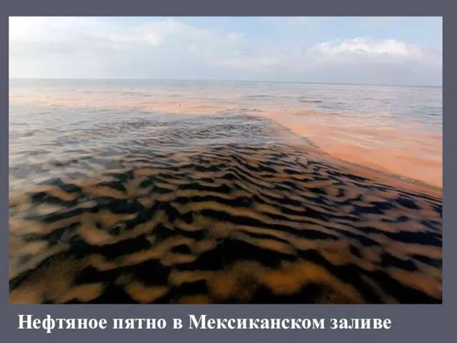 Нефтяное пятно в Мексиканском заливе