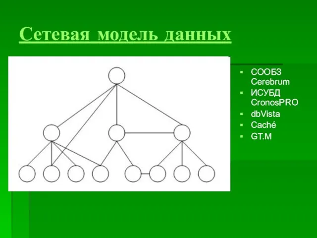 Сетевая модель данных СООБЗ Cerebrum ИСУБД CronosPRO dbVista Caché GT.M