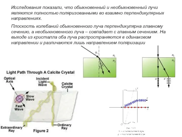 Исследования показали, что обыкновенный и необыкновенный лучи являются полностью поляризованными во взаимно