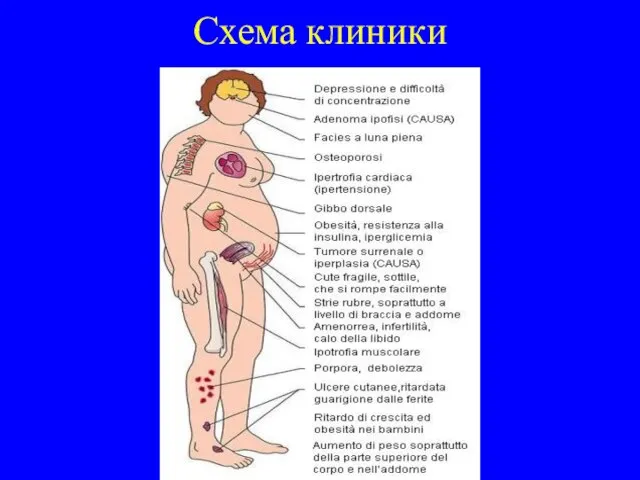 Схема клиники