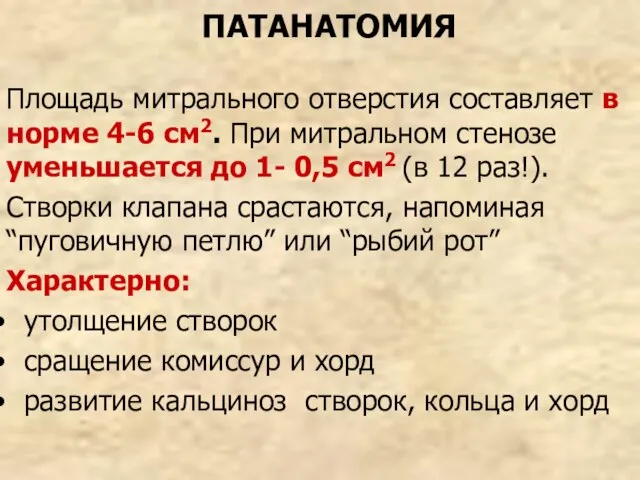 ПАТАНАТОМИЯ Площадь митрального отверстия составляет в норме 4-6 см2. При митральном стенозе