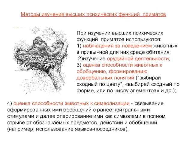 При изучении высших психических функций приматов используются: 1) наблюдения за поведением животных