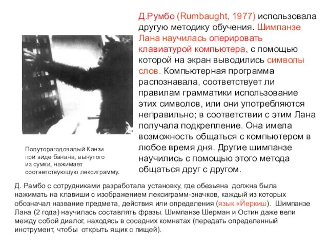 Д.Румбо (Rumbaught, 1977) использовала другую методику обучения. Шимпанзе Лана научилась оперировать клавиатурой