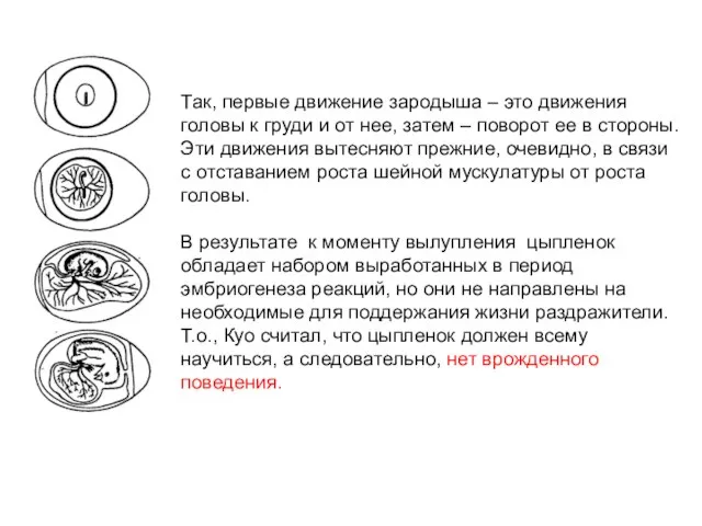 Так, первые движение зародыша – это движения головы к груди и от