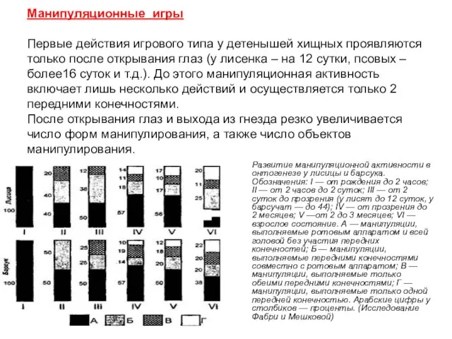 Манипуляционные игры Первые действия игрового типа у детенышей хищных проявляются только после