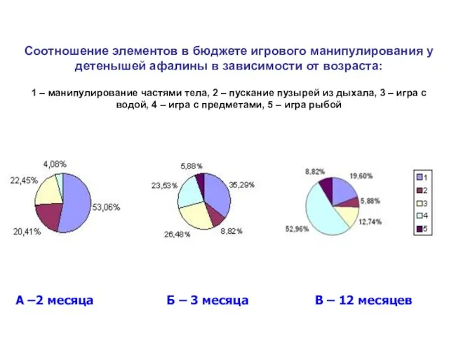 Соотношение элементов в бюджете игрового манипулирования у детенышей афалины в зависимости от