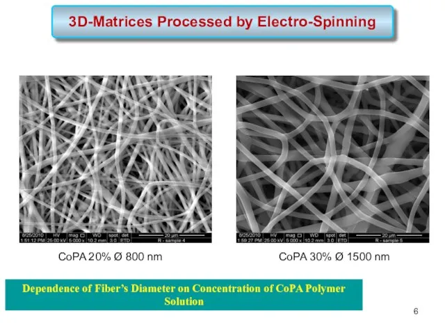 3D-Matrices Processed by Electro-Spinning Dependence of Fiber’s Diameter on Concentration of CoPA