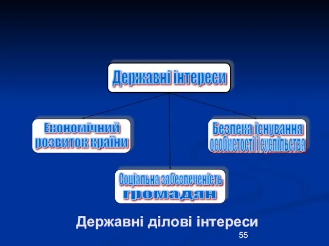 Державні ділові інтереси