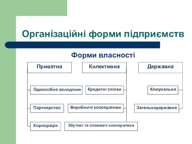 Організаційні форми підприємств Форми власності Одноосібне володіння