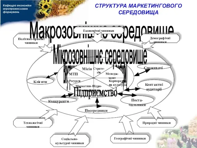 СТРУКТУРА МАРКЕТИНГОВОГО СЕРЕДОВИЩА