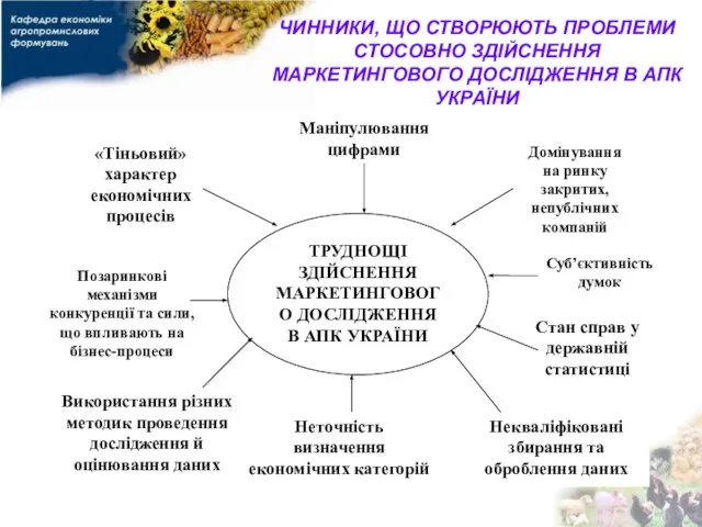 ЧИННИКИ, ЩО СТВОРЮЮТЬ ПРОБЛЕМИ СТОСОВНО ЗДІЙСНЕННЯ МАРКЕТИНГОВОГО ДОСЛІДЖЕННЯ В АПК УКРАЇНИ