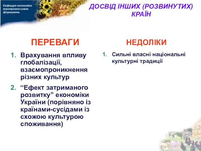 ДОСВІД ІНШИХ (РОЗВИНУТИХ) КРАЇН ПЕРЕВАГИ Врахування впливу глобалізації, взаємопроникнення різних культур “Ефект