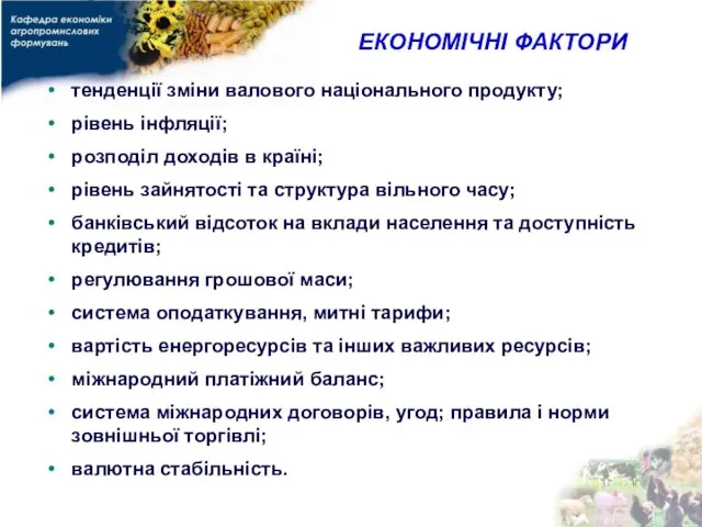 ЕКОНОМІЧНІ ФАКТОРИ тенденції зміни валового національного продукту; рівень інфляції; розподіл доходів в