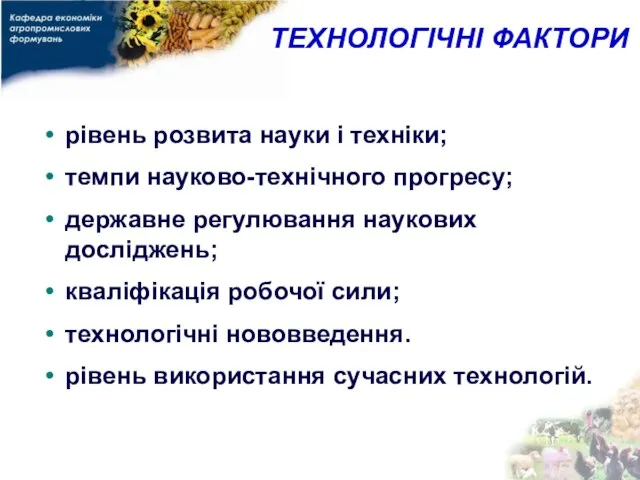 ТЕХНОЛОГІЧНІ ФАКТОРИ рівень розвита науки і техніки; темпи науково-технічного прогресу; державне регулювання