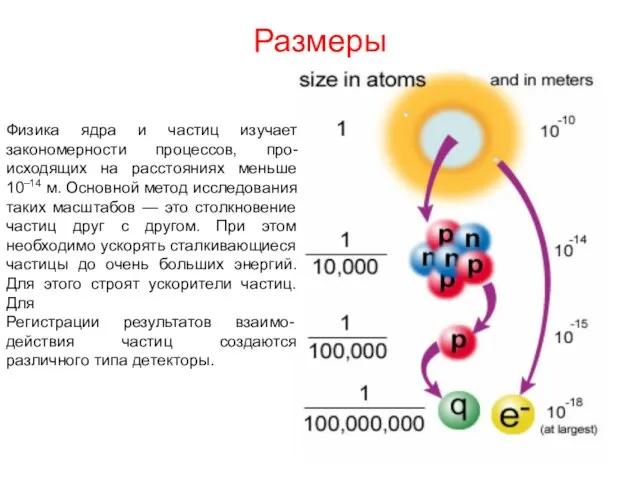 Размеры Физика ядра и частиц изучает закономерности процессов, про-исходящих на расстояниях меньше