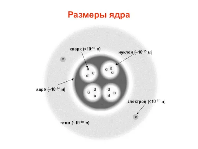 Размеры ядра