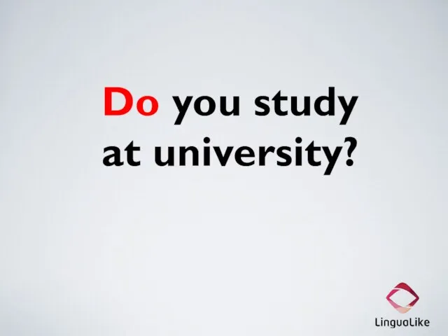 Do you study at university?