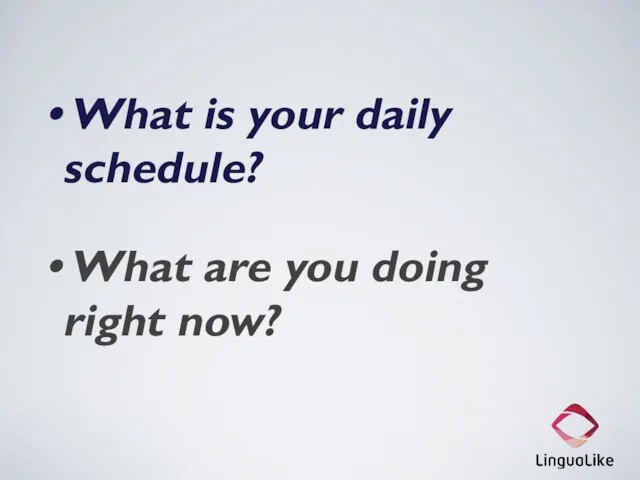 What is your daily schedule? What are you doing right now?