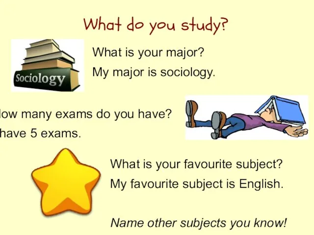 What do you study? What is your major? My major is sociology.