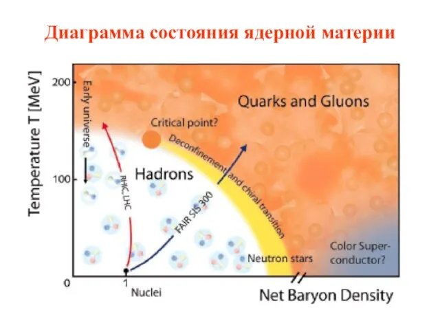 Диаграмма состояния ядерной материи