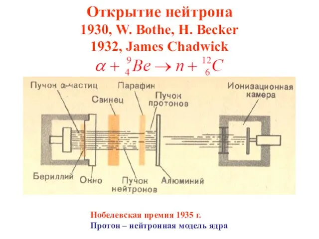 Открытие нейтрона 1930, W. Bothe, H. Becker 1932, James Chadwick Нобелевская премия