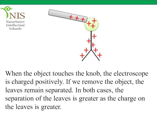 When the object touches the knob, the electroscope is charged positively. If